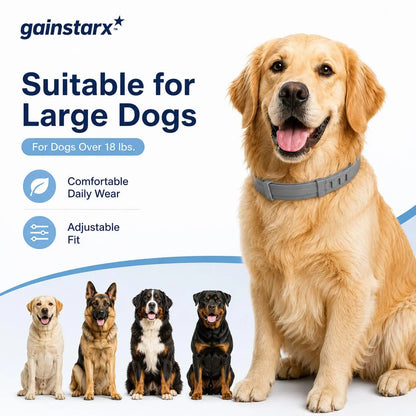 Gainstarx Adjustable Lightweight Dog Collar with Fresh Scent for Large Dogs Over 18 lbs - Ideal for Daily Walks and Outdoor Activities
