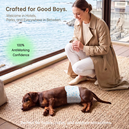 Disposable Male Dog Wraps - Soft Dog Diapers for Small Male Dogs, 12-Pack