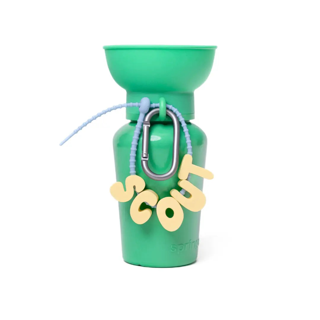 Personalize Your Pup's Style with Our Colorful Silicone Dog Charms for Collars, Leashes, and Bottles