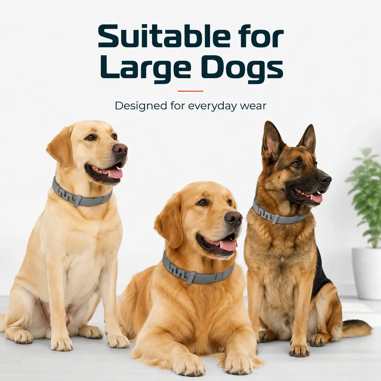 Gainstarx Adjustable Lightweight Dog Collar with Fresh Scent for Large Dogs Over 18 lbs - Ideal for Daily Walks and Outdoor Activities