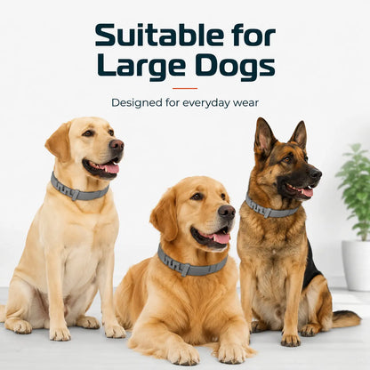 Gainstarx Adjustable Lightweight Dog Collar with Fresh Scent for Large Dogs Over 18 lbs - Ideal for Daily Walks and Outdoor Activities