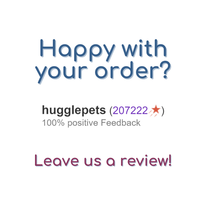 Zeus Nosh Trio Tough Nylon Dog Chew Toys - Chicken, Bacon, Beef, and Cheese Flavors