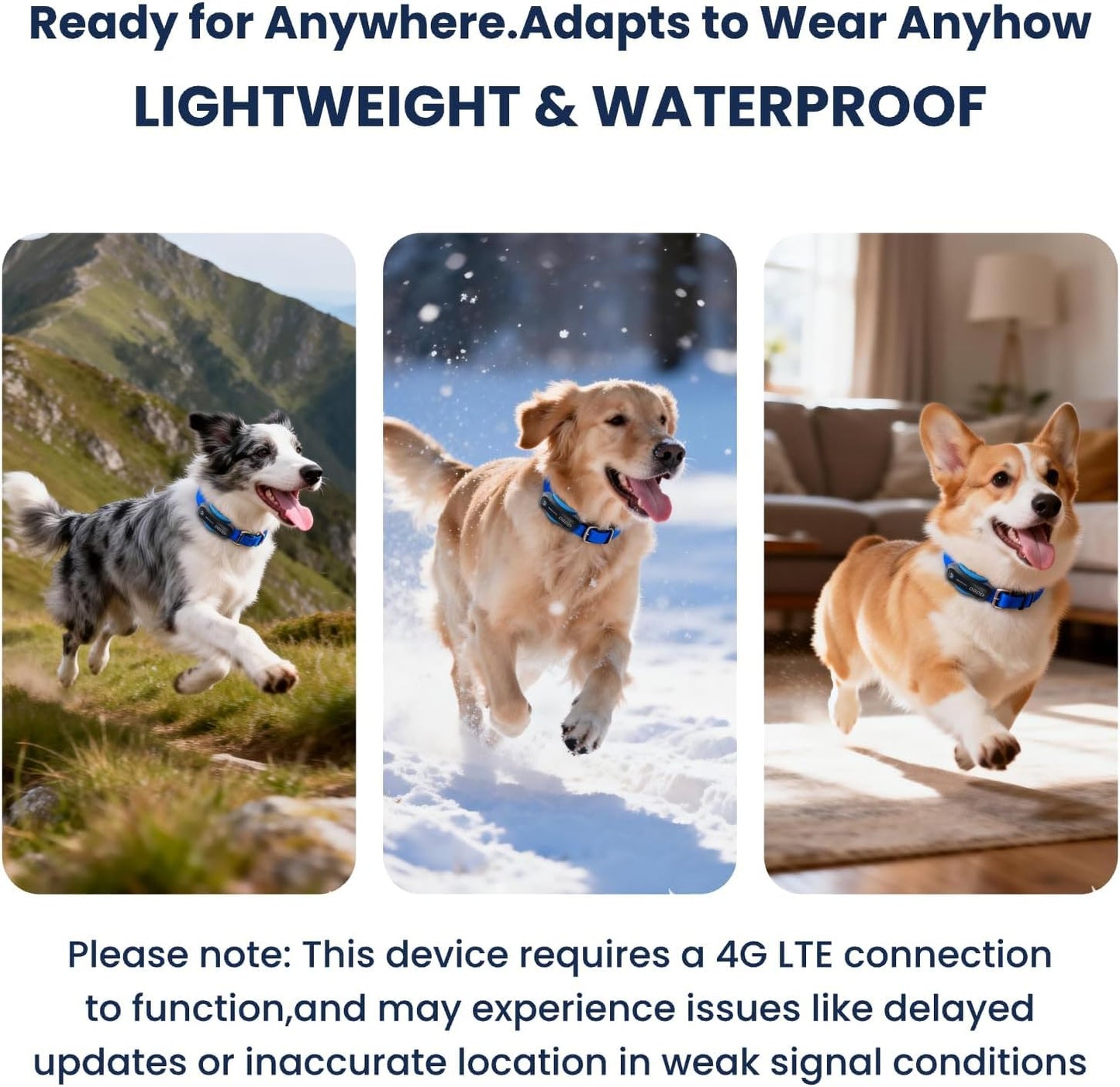 Dog GPS Tracker, Waterproof Dog Tracking Collar, Black | a Dog GPS Tracker with Real-Time Tracking, AI Health Monitoring and Virtual Fencing, Compatible with Ios and Android Systems