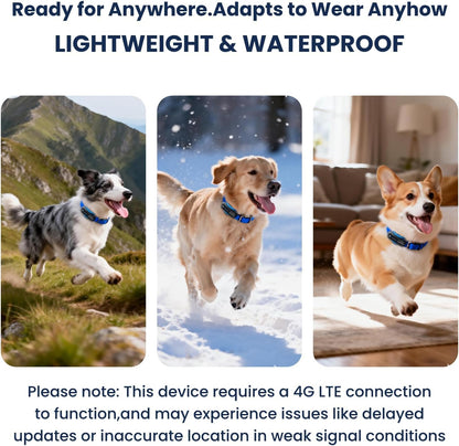 Dog GPS Tracker, Waterproof Dog Tracking Collar, Black | a Dog GPS Tracker with Real-Time Tracking, AI Health Monitoring and Virtual Fencing, Compatible with Ios and Android Systems