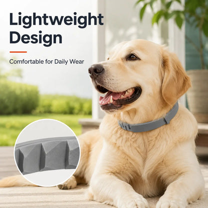 Gainstarx Adjustable Lightweight Dog Collar with Fresh Scent for Large Dogs Over 18 lbs - Ideal for Daily Walks and Outdoor Activities