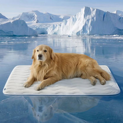 Bedsure Washable Cooling Mat for Dogs – Q-MAX>0.4 Non-Slip Summer Crate Bed for Large Dogs, No Gel or Electricity Required