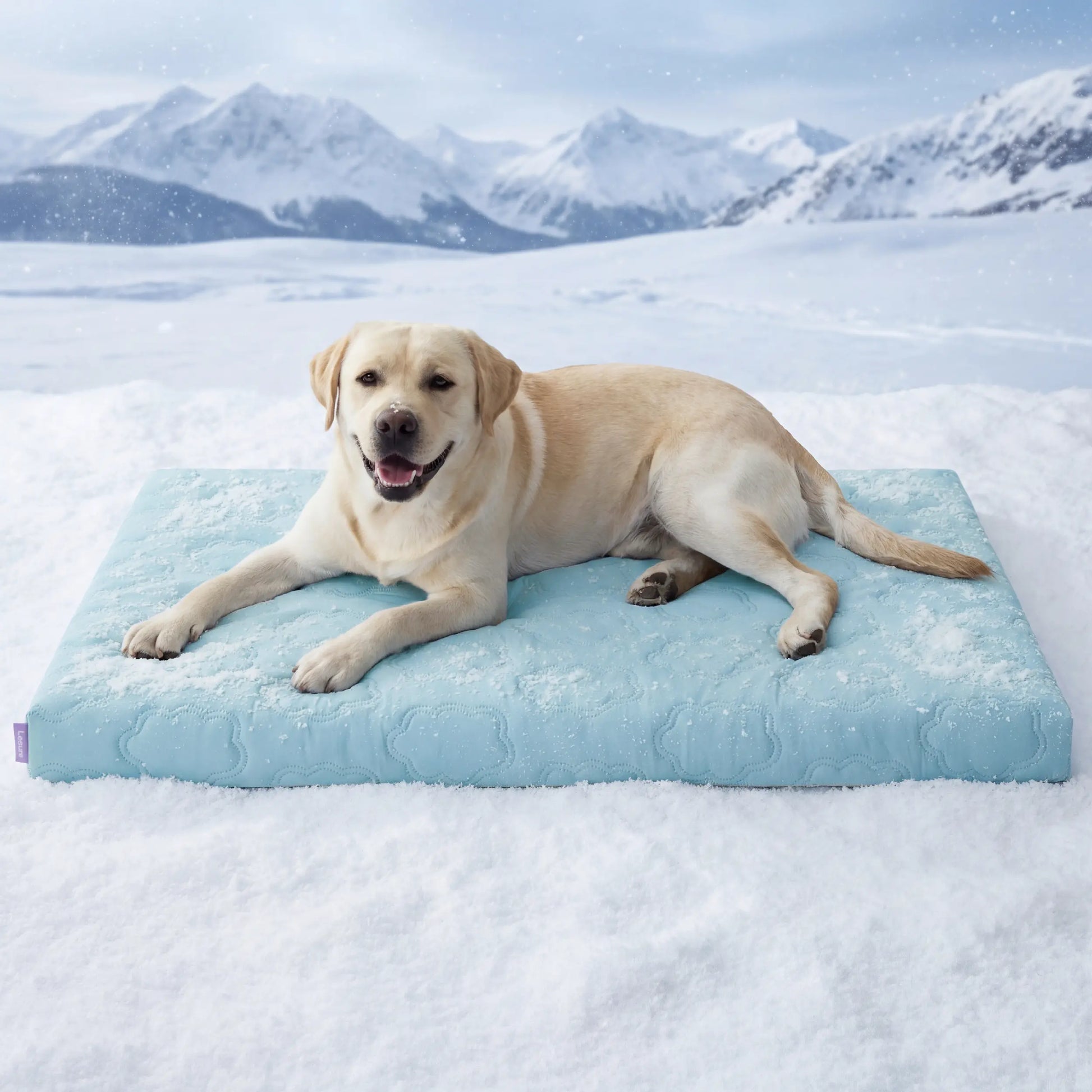 Bedsure Washable Cooling Mat for Dogs – Q-MAX>0.4 Non-Slip Summer Crate Bed for Large Dogs, No Gel or Electricity Required