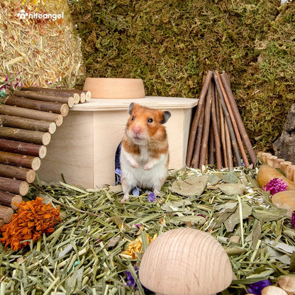 Birch Chamber Maze Hamster Hideout - Forest Habitat Decoration for Small Pets Including Hamsters, Mice, and Gerbils