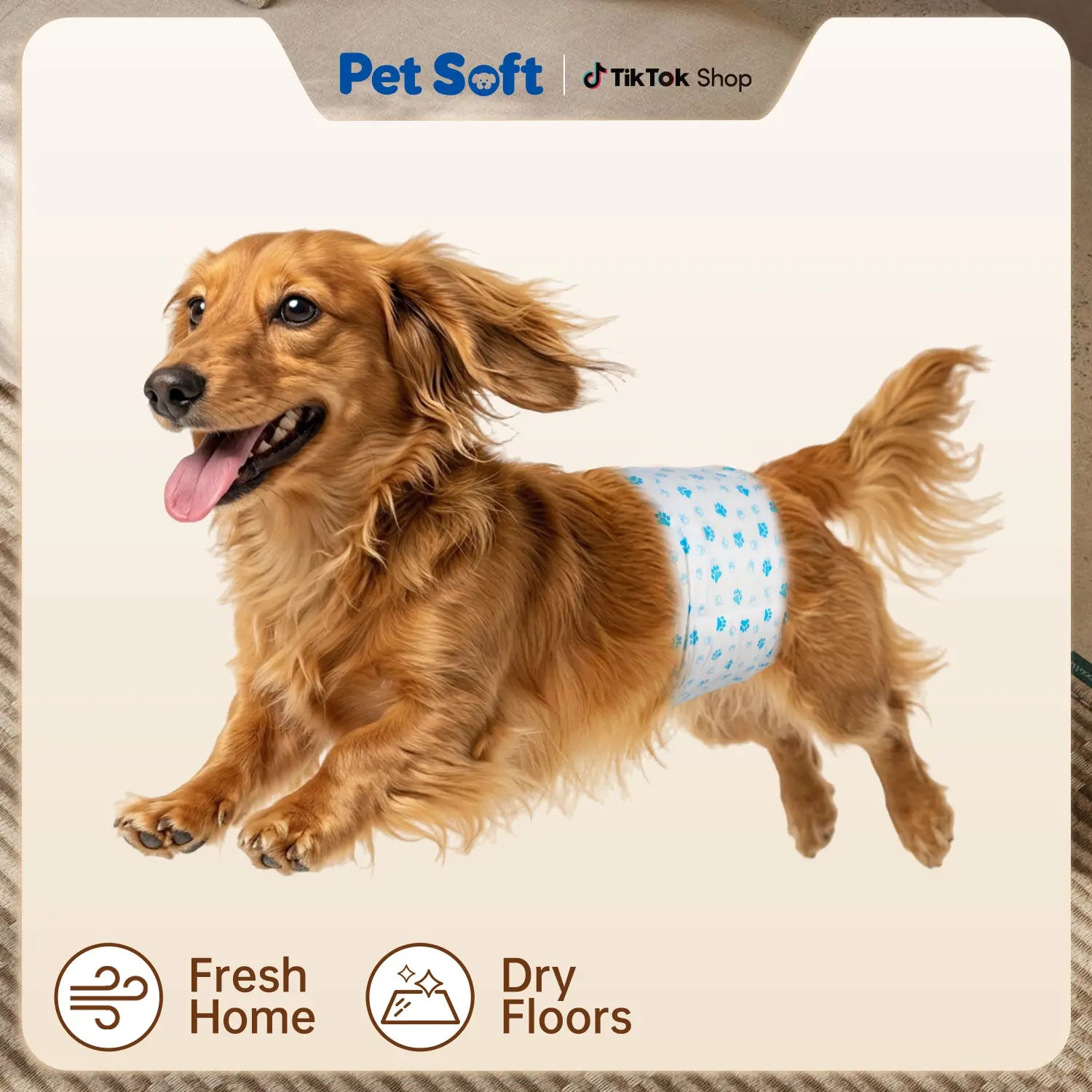 Disposable Male Dog Wraps - Soft Dog Diapers for Small Male Dogs, 12-Pack