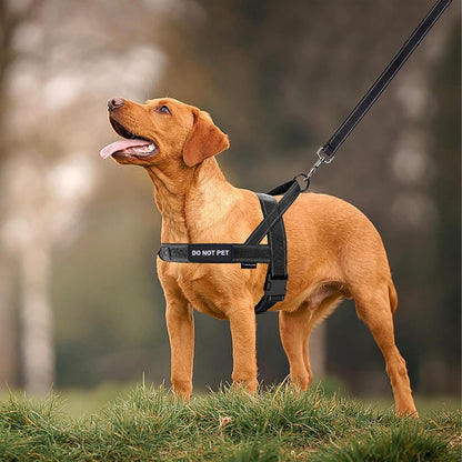 No-Pull Dog Harness with Soft Padded Handle, Reflective Strip, Escape-Proof Design, and Adjustable Fit for Small, Medium, and Large Dogs - Ideal for Training and Walking (Black, XL)