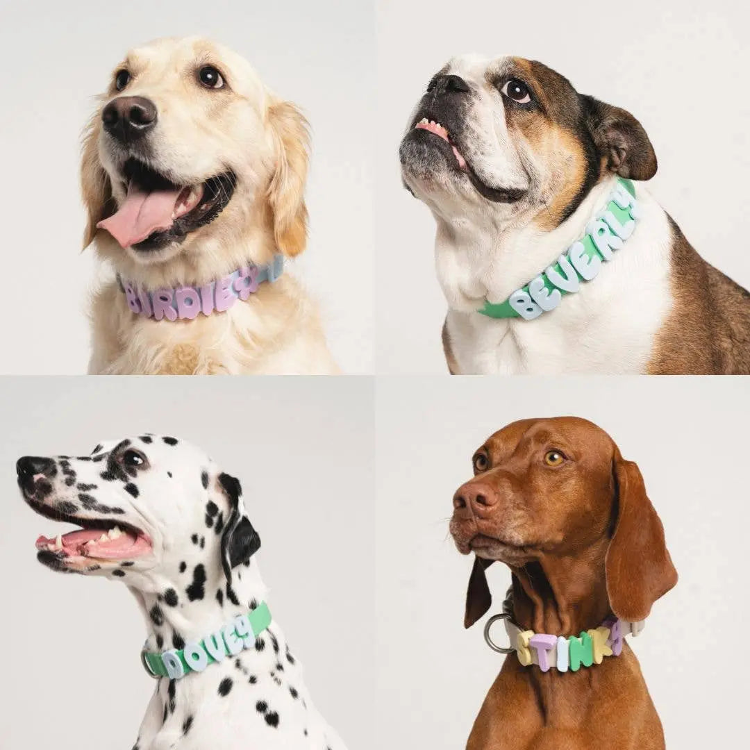 Personalize Your Pup's Style with Our Colorful Silicone Dog Charms for Collars, Leashes, and Bottles