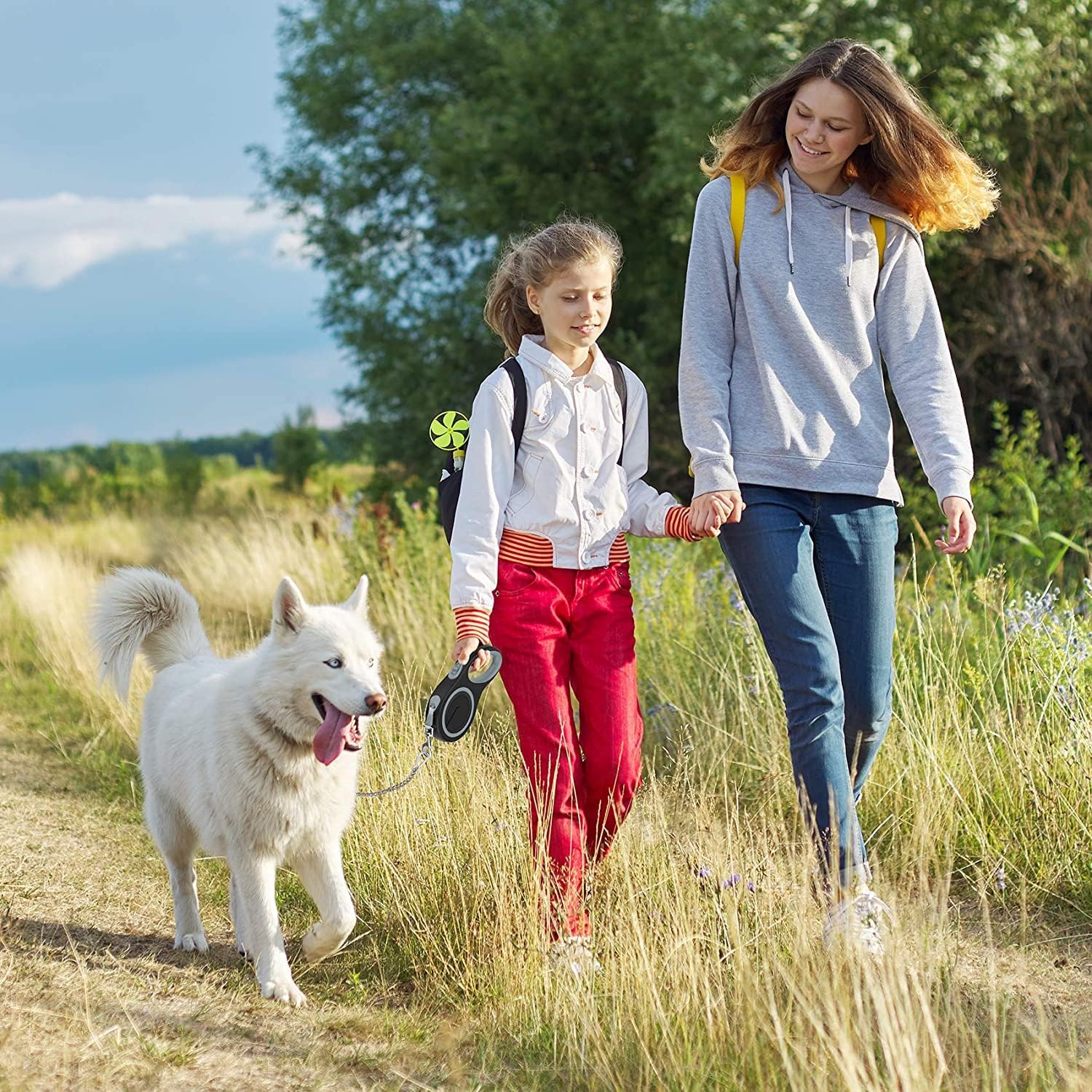 Durable 5M (16Ft) Retractable Dog Leash in Gray, Heavy-Duty Nylon Tape with Anti-Bite Steel Chain for Medium to Large Dogs