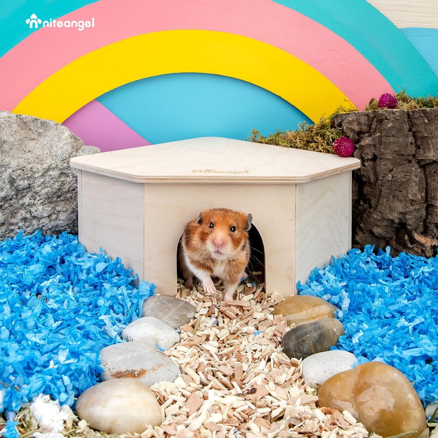 Birch Chamber Maze Hamster Hideout - Forest Habitat Decoration for Small Pets Including Hamsters, Mice, and Gerbils