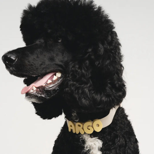 Personalize Your Pup's Style with Our Colorful Silicone Dog Charms for Collars, Leashes, and Bottles
