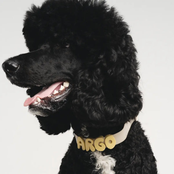 Personalize Your Pup's Style with Our Colorful Silicone Dog Charms for Collars, Leashes, and Bottles