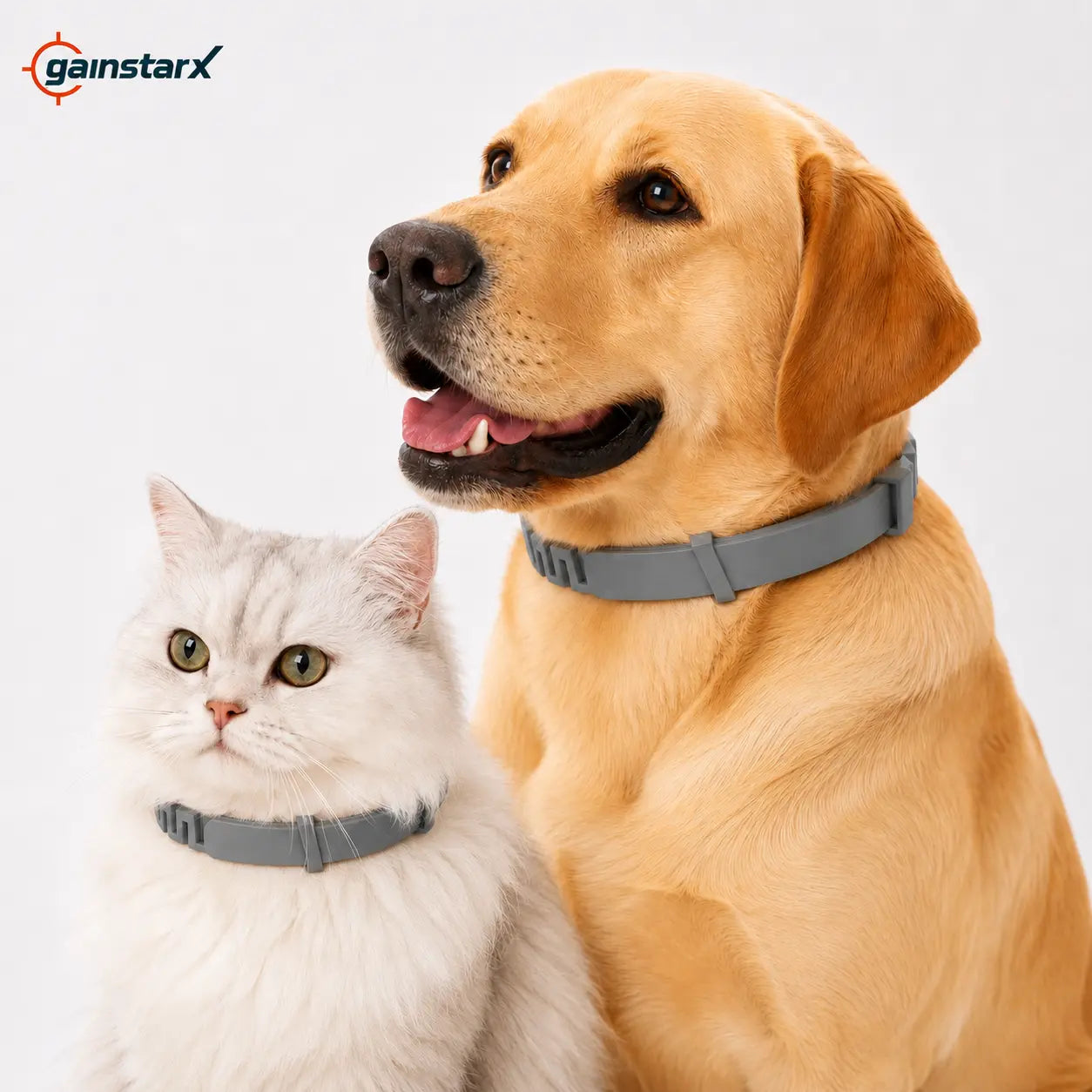 Gainstarx Adjustable Lightweight Dog Collar with Fresh Scent for Large Dogs Over 18 lbs - Ideal for Daily Walks and Outdoor Activities