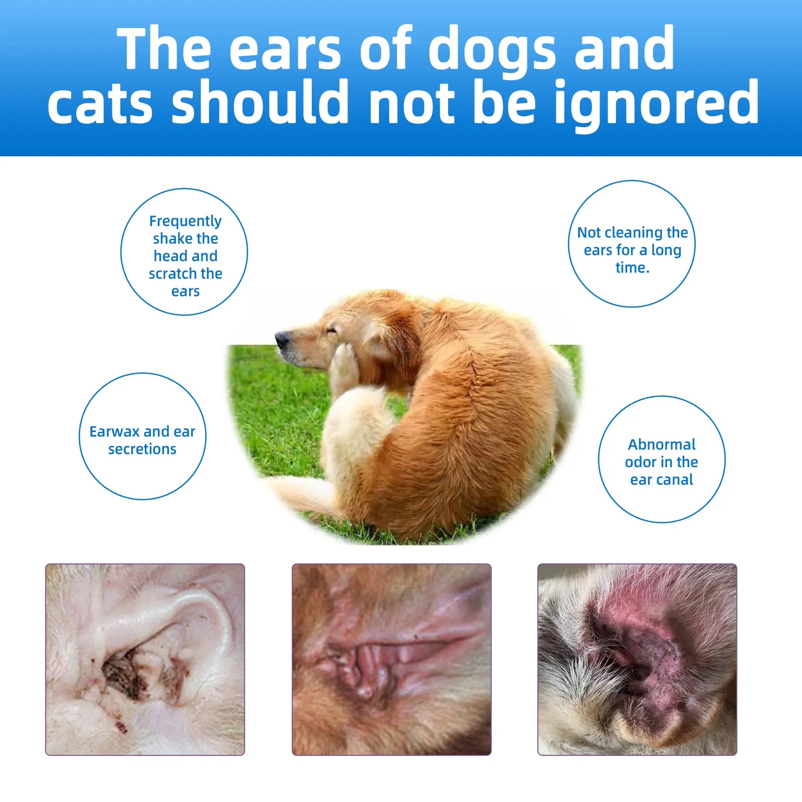 Gentle Pet Ear Wash - The Ultimate Odor-Free Cleaning Solution for Your Dogs and Cats