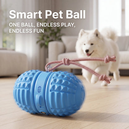 Smartwell Interactive Motion-Activated Dog Toy Ball with Voice Recording and Quiet Mode for Small to Medium Indoor Dogs