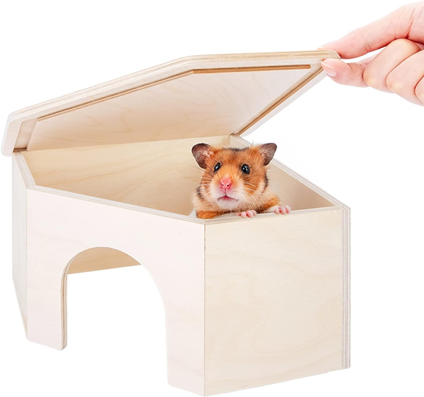 Birch Chamber Maze Hamster Hideout - Forest Habitat Decoration for Small Pets Including Hamsters, Mice, and Gerbils