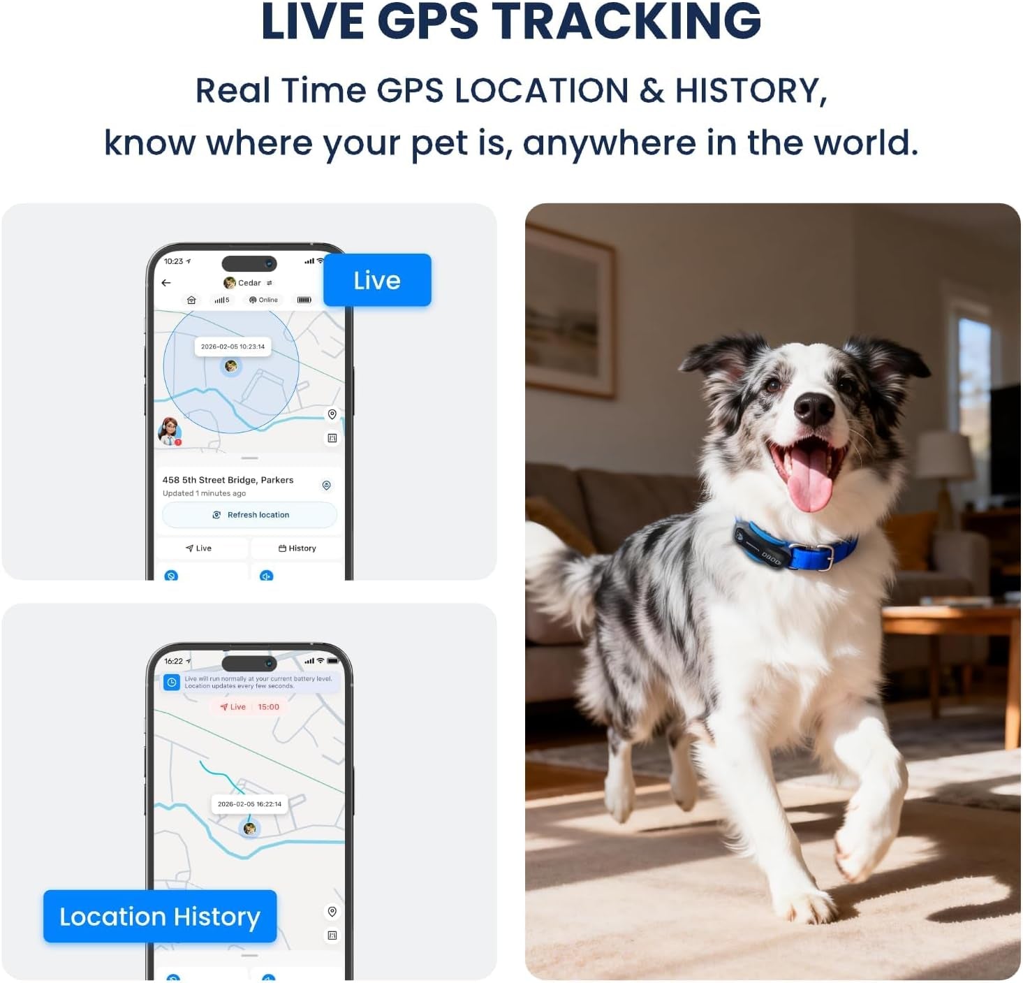 Dog GPS Tracker, Waterproof Dog Tracking Collar, Black | a Dog GPS Tracker with Real-Time Tracking, AI Health Monitoring and Virtual Fencing, Compatible with Ios and Android Systems
