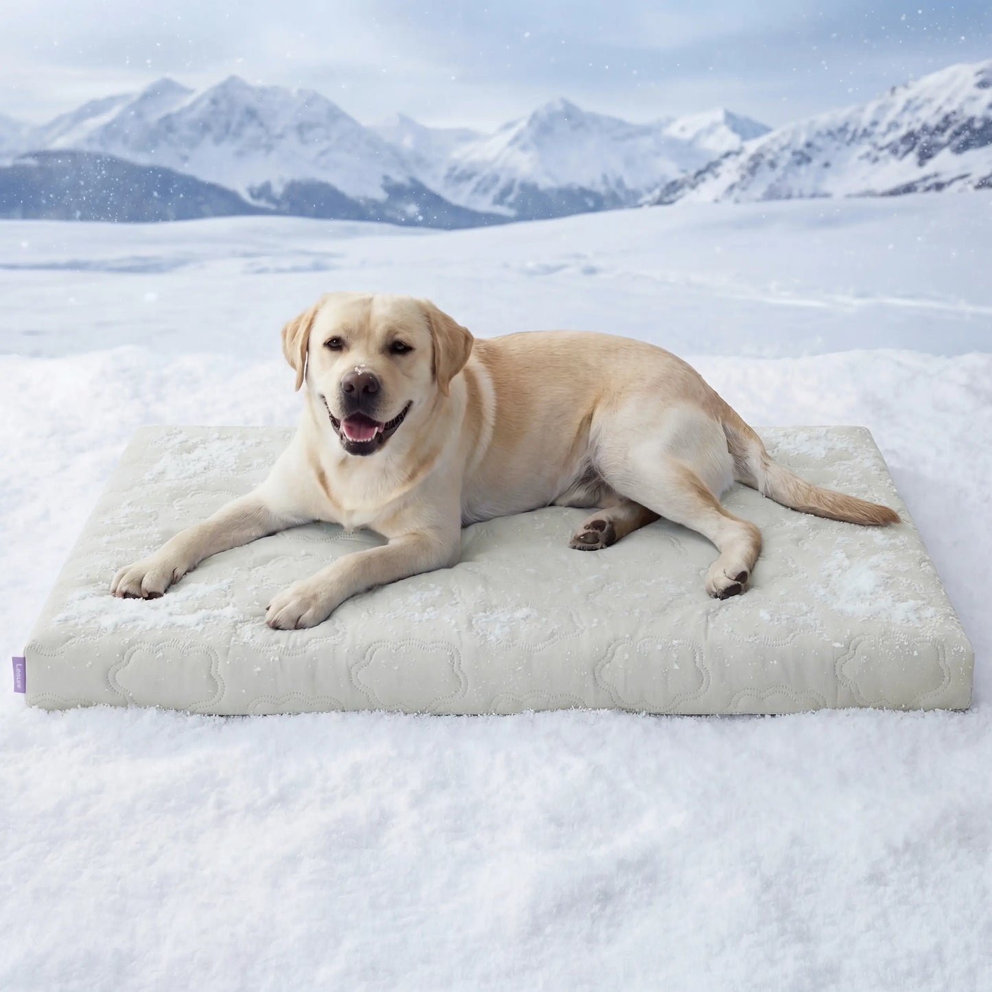 Bedsure Washable Cooling Mat for Dogs – Q-MAX>0.4 Non-Slip Summer Crate Bed for Large Dogs, No Gel or Electricity Required