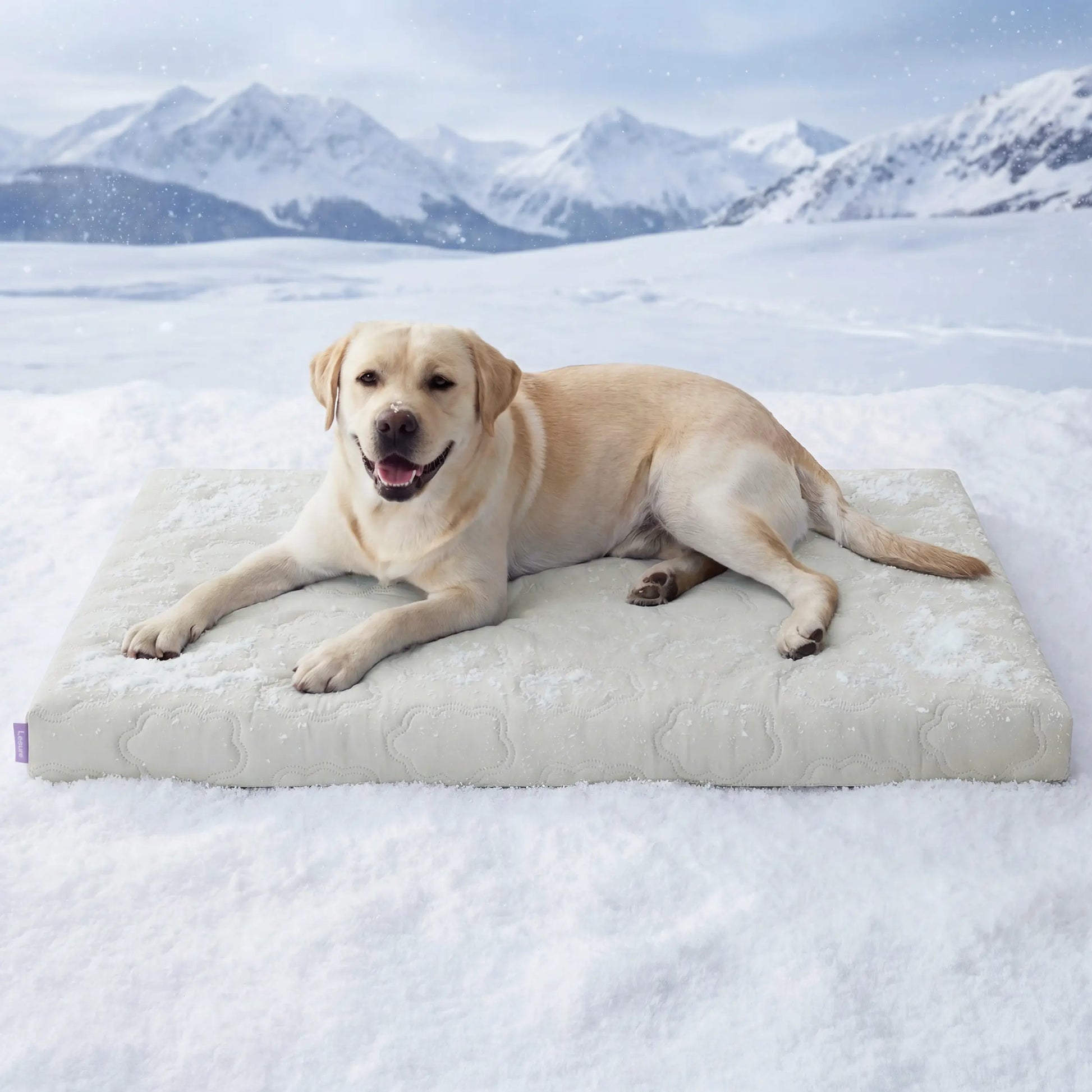 Bedsure Washable Cooling Mat for Dogs – Q-MAX>0.4 Non-Slip Summer Crate Bed for Large Dogs, No Gel or Electricity Required