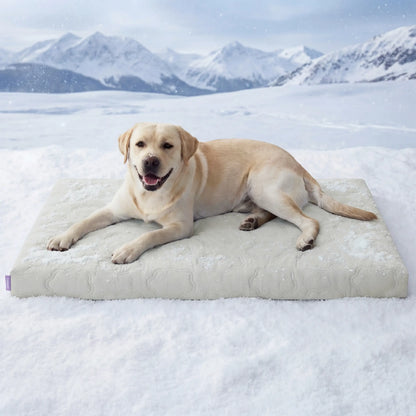 Bedsure Washable Cooling Mat for Dogs – Q-MAX>0.4 Non-Slip Summer Crate Bed for Large Dogs, No Gel or Electricity Required