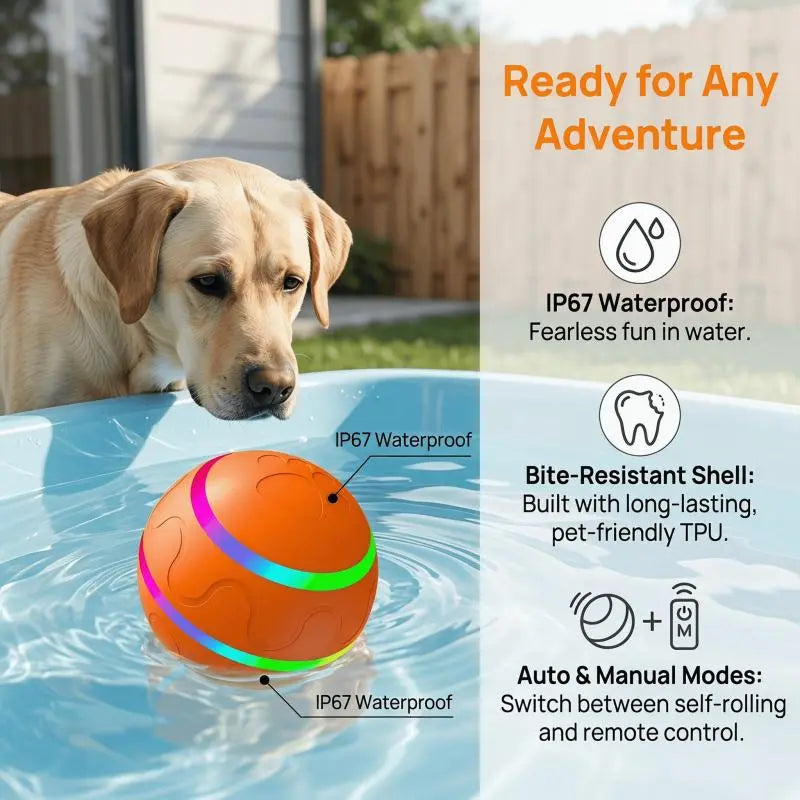 Interactive Dog Ball - Upgraded Durable Motion-Activated Automatic Rolling Toy for Dogs of All Sizes, USB Rechargeable by Springtok