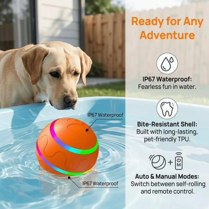 Interactive Dog Ball - Upgraded Durable Motion-Activated Automatic Rolling Toy for Dogs of All Sizes, USB Rechargeable by Springtok
