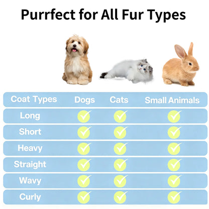 Fresh Fur 2-in-1 Pet Steam Shower Brush and Spray Grooming Comb for Cats and Dogs - Deshedding and Grooming Tool