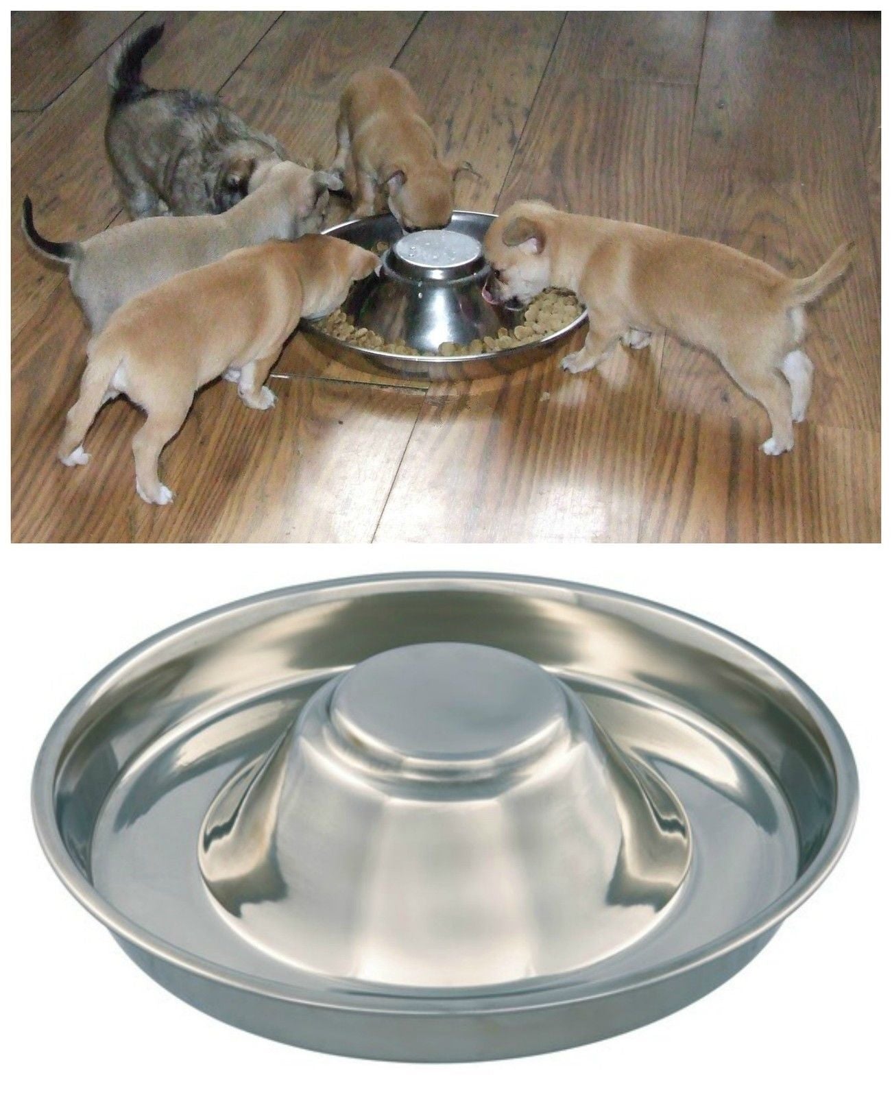 Stainless Steel Feeder Bowl for Puppies and Kittens - Ideal for Food, Litter, and Weaning