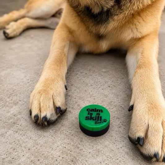 Dog Scent Work Training Pods | Calm Is a Skill Nose Work Training Kit