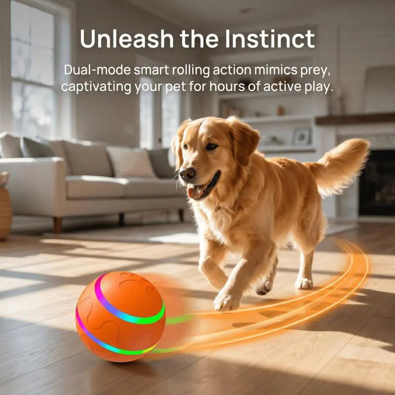 Interactive Dog Ball - Upgraded Durable Motion-Activated Automatic Rolling Toy for Dogs of All Sizes, USB Rechargeable by Springtok