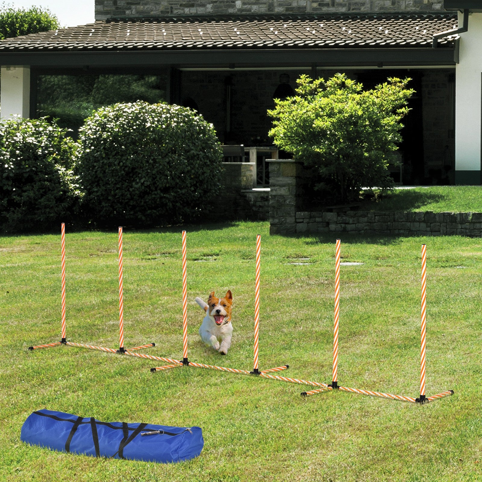 Professional Dog Agility Weave Pole Training Obstacle Course Set with Whistle