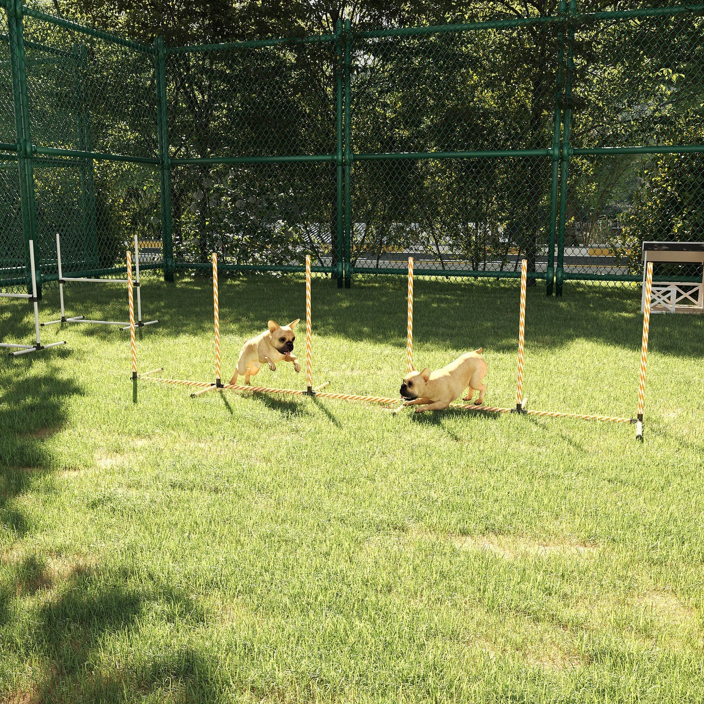 Professional Dog Agility Weave Pole Training Obstacle Course Set with Whistle