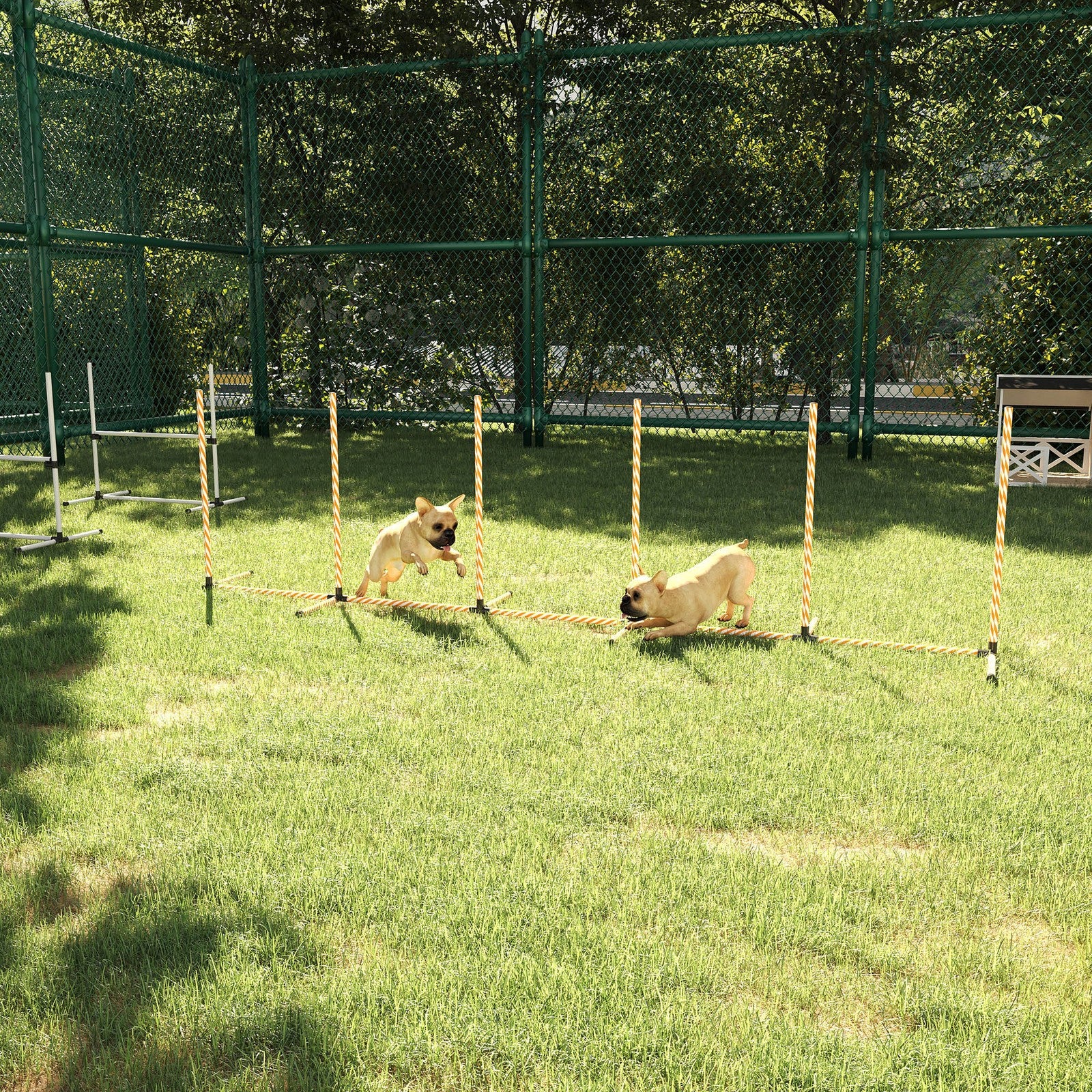 Professional Dog Agility Weave Pole Training Obstacle Course Set with Whistle